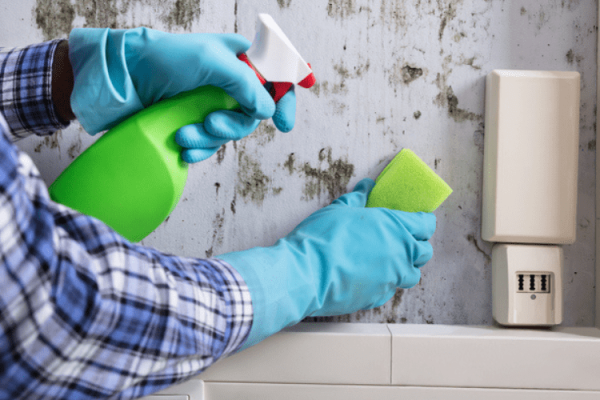 move out cleaning specialists