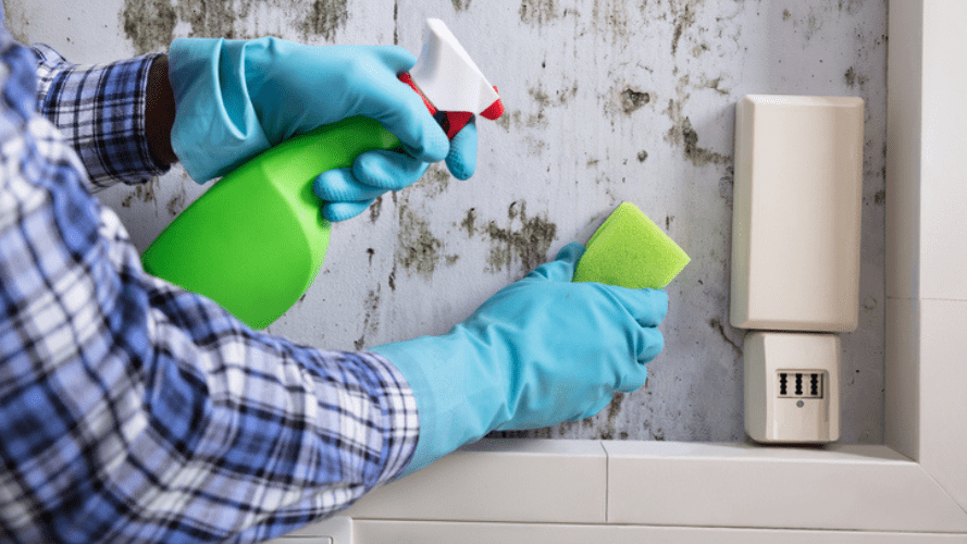 move out cleaning specialists