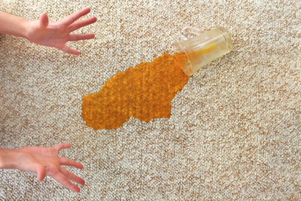 Remove Curry Stains from Carpets