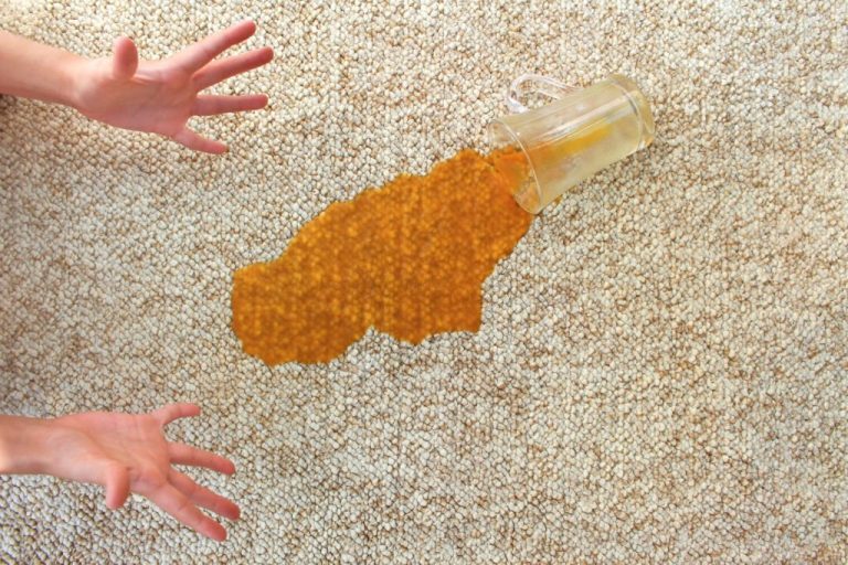 Remove Curry Stains from Carpets